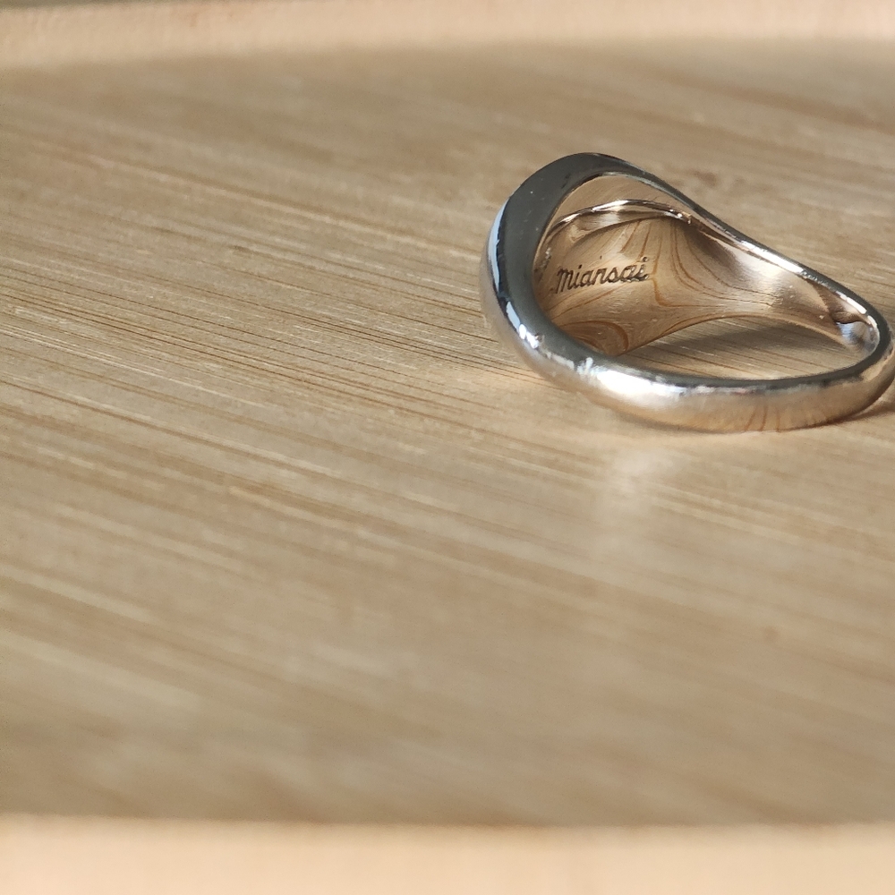 Miansai Solar Signet Ring Sterling Silver - Picture 5 of 10